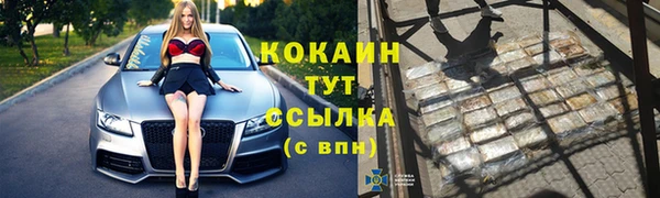 Альфа ПВП Белокуриха