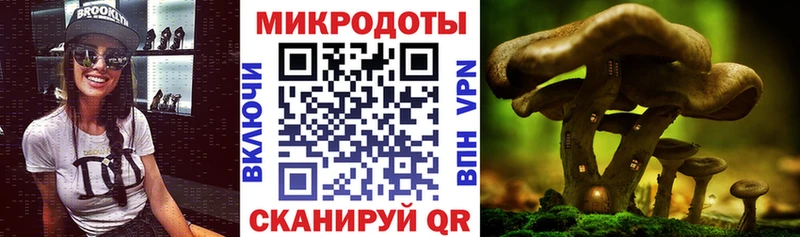 Галлюциногенные грибы мухоморы  хочу наркоту  Ковылкино 